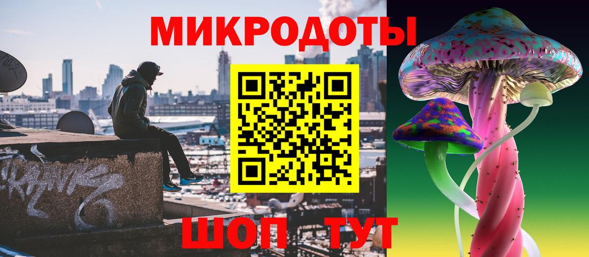 Сокол  Псилоцибиновые грибы GOLDEN TEACHER  где купить наркоту  Вход с VPN 